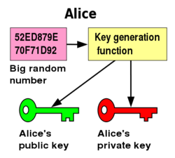 A large random number is generated, and used to create a public-key pair.
