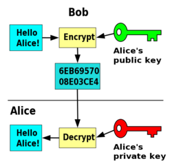 Anyone can encrypt using the public key, but only the holder of the private key can decrypt.