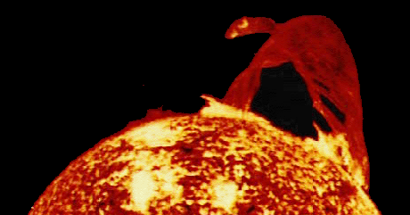 Image of the Sun